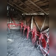 Zgrabiarka do siana 5 gwiazdowa