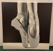 Obraz Styler Canvas Glam Baletki ST168 60x60 cm