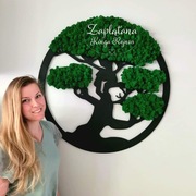 Drzewo BONSAI CHrobotek 