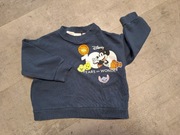 Bluza chłopięca ZARA rozm. 104 cm