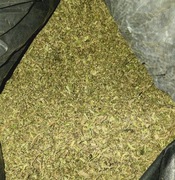 2025 50g trymu 6.10% Legalny naturalny susz CBD od producenta