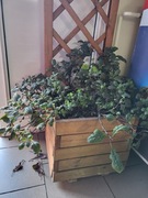 Do sprzedania za niską cenę 