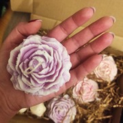 Świeca sojowa "piwonia L" elegant, wybierz swój kolor i zapach, Robea 