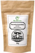Agaricus Blazei 10:1 Ekstrakt Pieczarka Brazylijska 50g Naturalny Grzyb