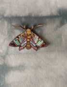 termo naszywka patch   ćma