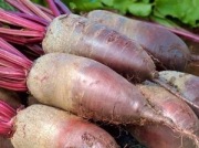 Burak ćwikłowy ekoNaturalne standardy uprawy prosto z pola Smart 