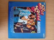 Bee Gees Massachusetts