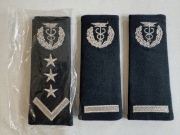 Patki. Pagony. Służba Celna. 2009-2017