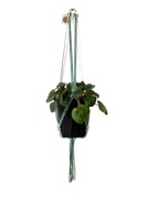 Wiszący kwietnik makrama biało zielony boho 70cm