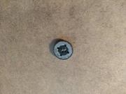 Nokia 6310i głośnik