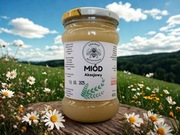 Miód Akacjowy 400 g z Pojezierza Wałeckiego - Pasieka Włodarczyk