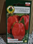 Pomidor San Marzano 2