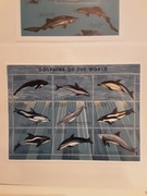 Gambia 1996 Mi 2243-60   2 x ark   delfiny  czysta idealna pozycja 