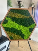 Obraz z mchu heksagon