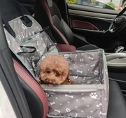 Siedzisko, fotelik dla psa