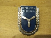 Odznaka wzorowy silnikowy  wz. 51 KOPIA