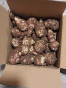 Topinambur leczniczy odporność witaminy trawienie 6kg