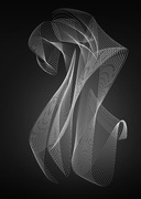 Łabędź -  abstrakcja grafika czarno biała plakat 40x50cm