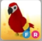 FR Parrot Adopt Me