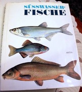 Süsswasser- Fische - Jiri Maly - Ryby słodkowodne
