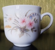 EPIAG D.F Carlsbad Czechosłowacja , duo 