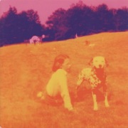 Eels  2 CD Blinking Lights And Other Revelations