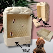 Personalizowany naturalny Karmnik dla gadów, terrarium, Gady, różne kolory