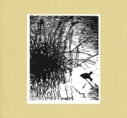 Kaczka w trzcinach- Warmia- Mazury, Linoryt