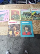 Stara gazety Płomyk 