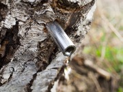 Rurka do pozyskiwania soku z brzozy