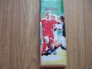 Piórnik chiński na magnes