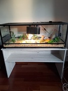 Terrarium jak nowe z szafka