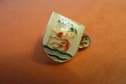 Koszalin Powiat Herb pin przypinka