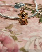 Charms piesek z kostką S925