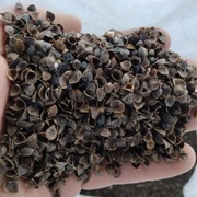 Łuska gryczana ekologiczna 