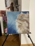 Obraz olejny „kot o niebieskich oczach”