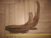 Korzenie Mangrowca do akwarium nr.3