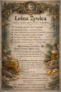 Mazidło Leśna żywica