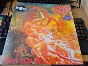 Morbid Angel "Blessed Are The Sick" FDR Purple 