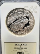 Moneta srebrna 20 PLN Ropucha paskówka, stan menniczy.