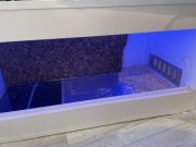 Terrarium + Mata Grzewcza + Taśmy LED