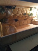 Terraria na każdą kieszeń 