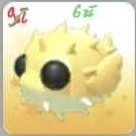 Adopt me Puffer fish