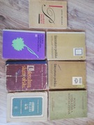 Literatura polska - zestaw - przekrój okresów STAN DB-