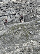 Narty salomon s/race rush 180cm+x14