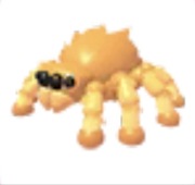 Jumping spider - Adopt Me Roblox