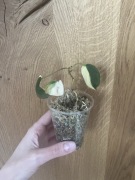 Philodendron Micas Variegata 