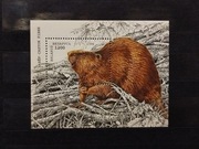 Znaczek blok Białoruś 1996 fauna ssaki