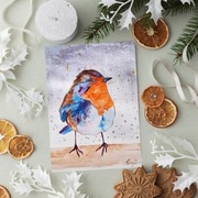 Piękna Akwarela Oryginał, rudzik, malowany ptak, w ramie A5, obrazek zimowy