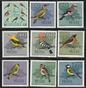 Ptaki 1570 -6 stan **